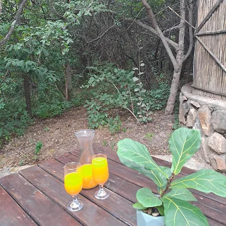 Little Bush Lodge Hoedspruit Exterior photo
