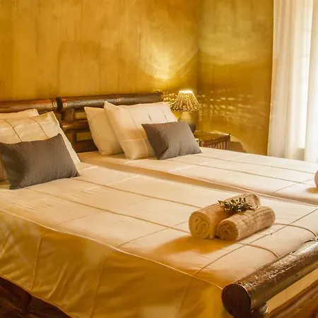 Little Bush Lodge Hoedspruit Room photo