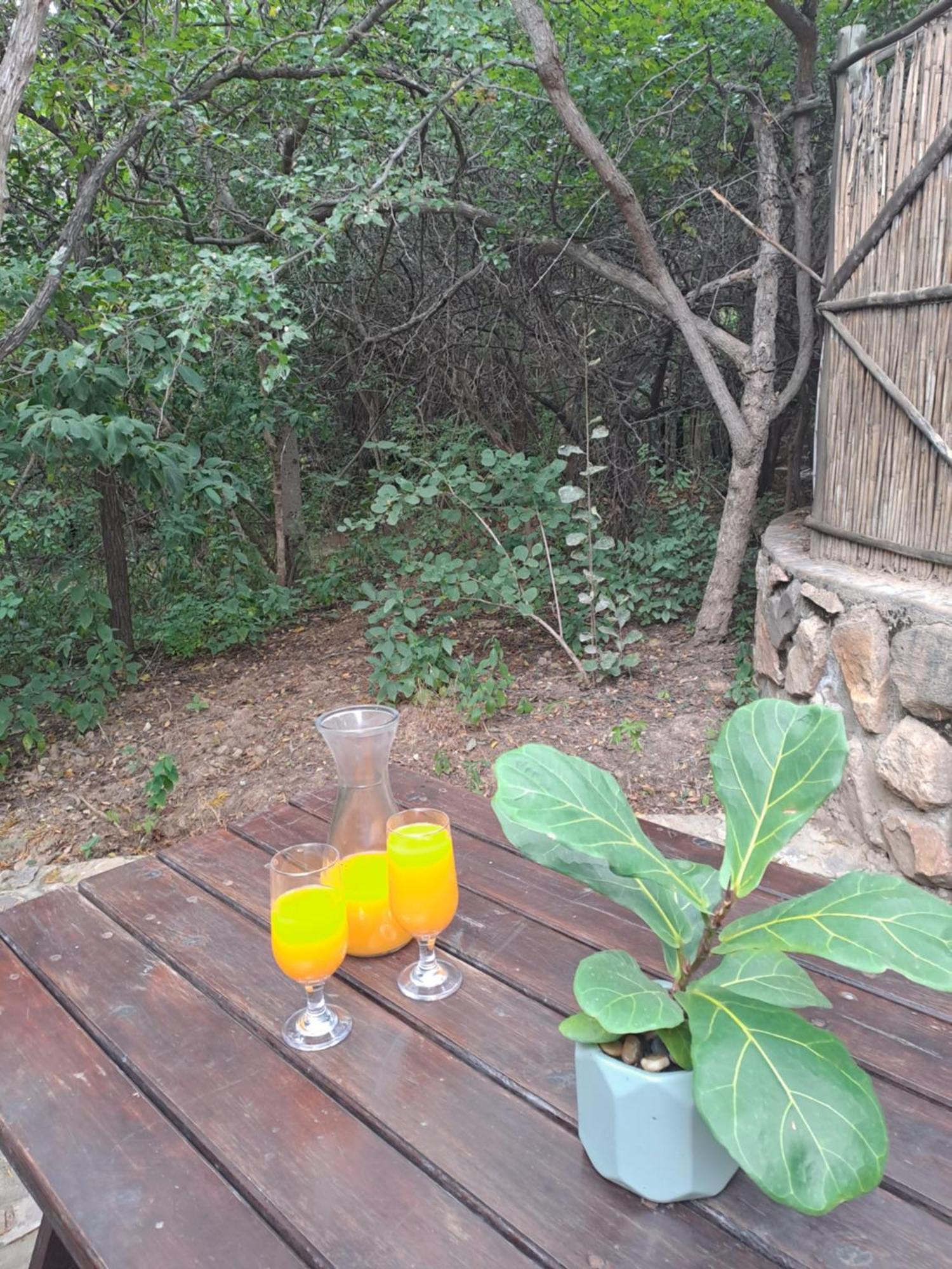 Little Bush