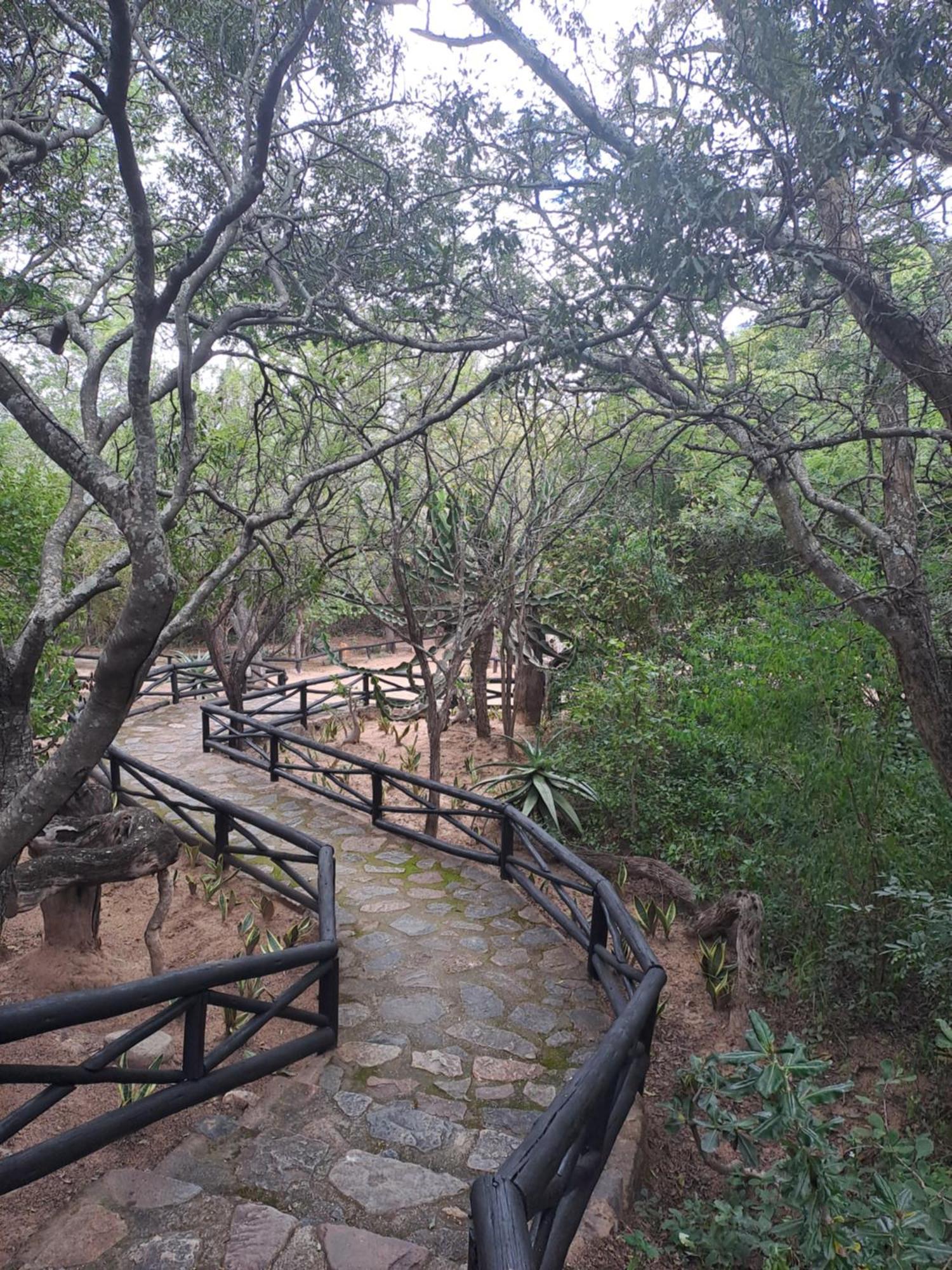 Little Bush Lodge *