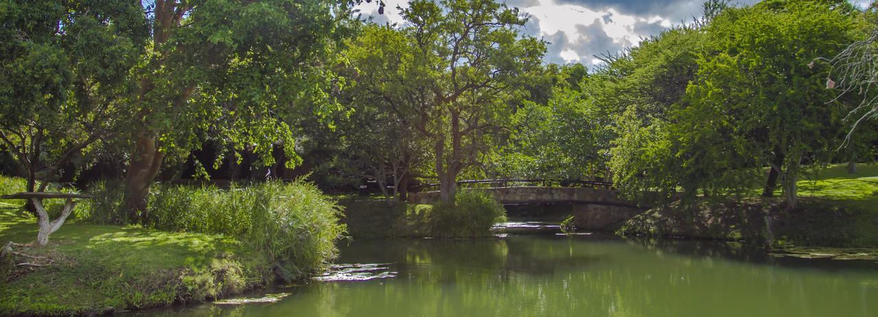 Little Bush Lodge Hoedspruit