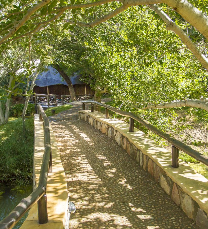 Little Bush Hoedspruit