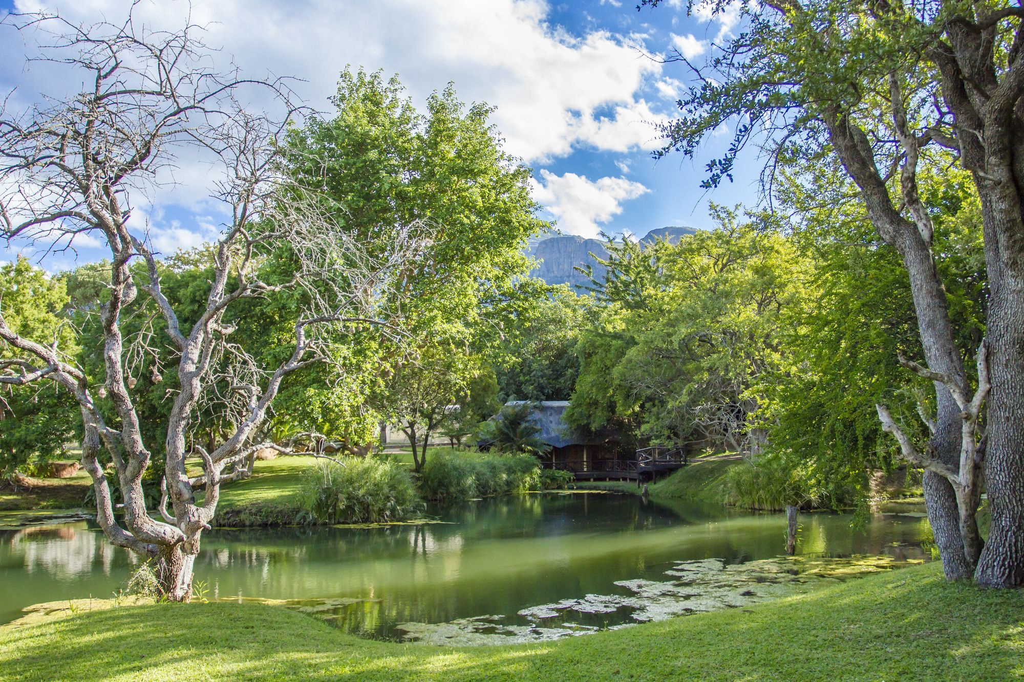 Lodge Little Bush Hoedspruit